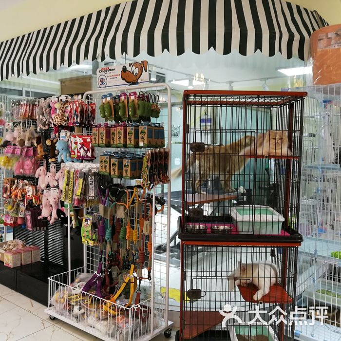 台湾流川丰宠物生活会馆图片-北京宠物店-大众点评网