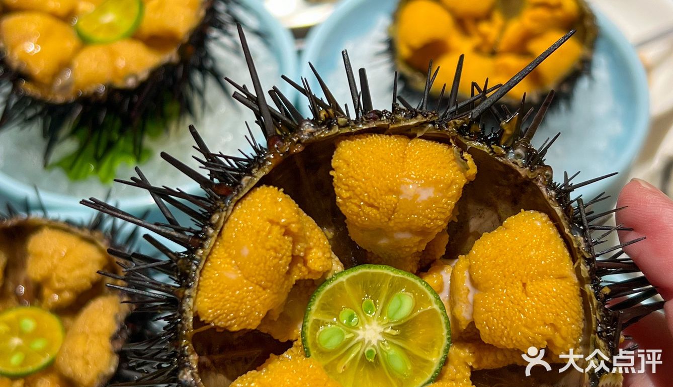 大连📍开海季…吃大连海鲜的快乐你造吗⁉️