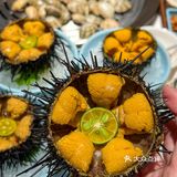 大连📍开海季…吃大连海鲜的快乐你造吗⁉️