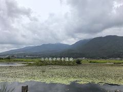 -腾冲北海湿地