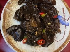 美极黑木耳-金杨拉面王小吃面馆·牛三宝面·红烧牛肉粉
