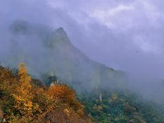-大岭沟猕猴桃谷风景区