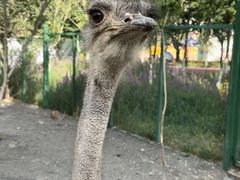 -水上乐园·欢乐世界