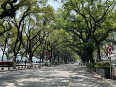 -璟象酒店-爱丽坊景观餐厅