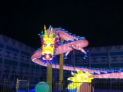 -锦江乐园舞狸花花游园会(夜场专享)