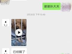 -喜多萌中农锦绣动物医院24H·猫科·牙科MRI·CT