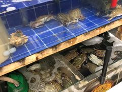水产区-阿杰臻选海鲜饭店(普陀山店)