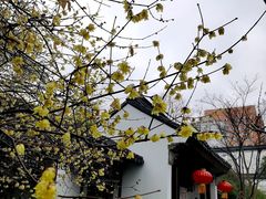 -江宁织造博物馆