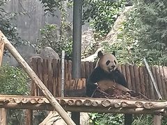 -云南野生动物园