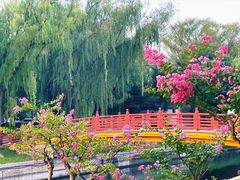 -元大都城垣遗址公园