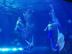 -华夏文旅海洋公园