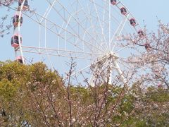 -自然谷恐龙园