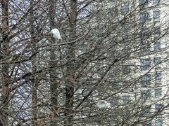 -白塘生态植物园