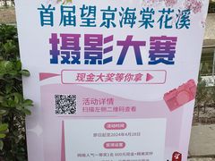 -大望京公园