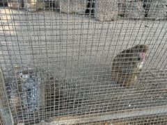-河北村民俗体验园