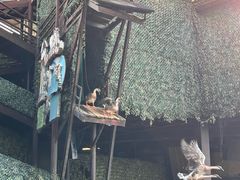 -长鹿旅游休博园