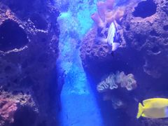 -多彩贵州城极地海洋世界