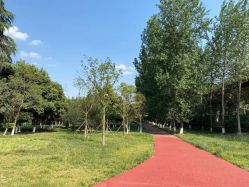 -成都大鼎世纪大酒店·宴会厅