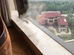 -常州武进九洲喜来登酒店