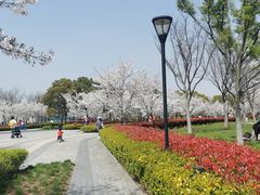-上海山野camping·户外天幕烧烤·团建拓展营地