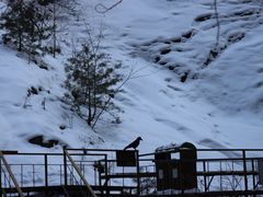 -青峰峡国家森林公园