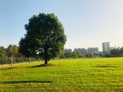 -同济大学(嘉定校区)