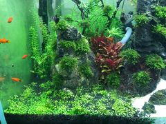 -UCCA Kids 儿童美育