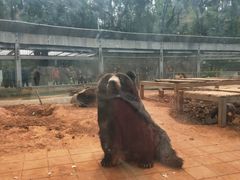 -昆明动物园