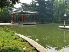-济南南郊宾馆