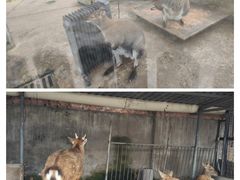 -水绘园
