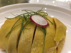 -骏莱海鲜鱼港(五角场店)