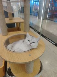 -熙.Hair 丨专注女子中长发丨