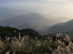 -梧桐山风景名胜区