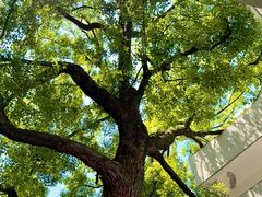 -湖北美术学院(昙华林校区)