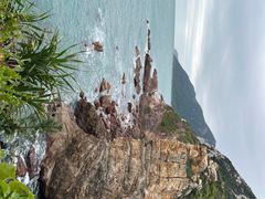 -杨梅坑
