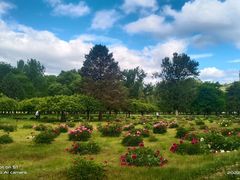 -承德避暑山庄景区