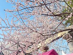 -百荣世贸商城