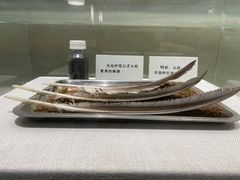 -白洋淀景区
