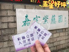 -嘉定紫藤园