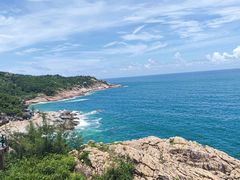 -广东惠东海龟国家级自然保护区