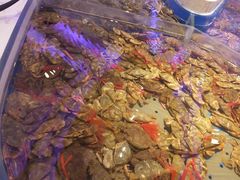-澜悦港海鲜体验主题餐厅