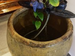 -周先生石花膏