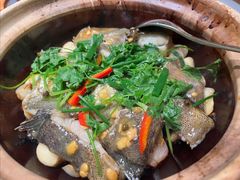 藤椒黄豆酱焗杂鱼-新雅(丰盛里店)