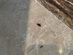 -惠州金海湾嘉华度假酒店