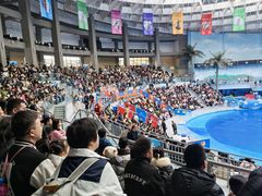-海合安成都极地海洋公园