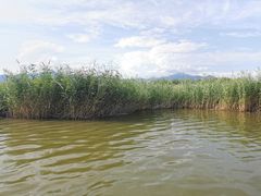 -野鸭湖国家湿地公园