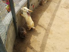 -前小桔亲子创意农场·草莓采摘·露营烧烤