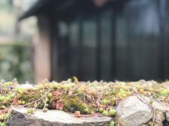 -法云安缦酒店