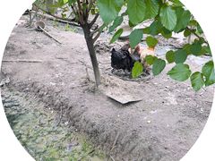 -绍兴古城