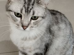 -平行世界·猫咖(首经贸店)